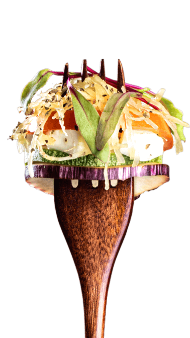 64e7d430ef3736466978bb86_veg-v3