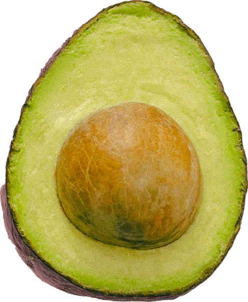 landing-sunny-avocado
