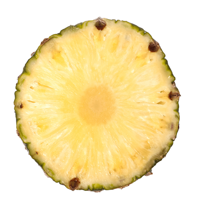 rodaja-piña